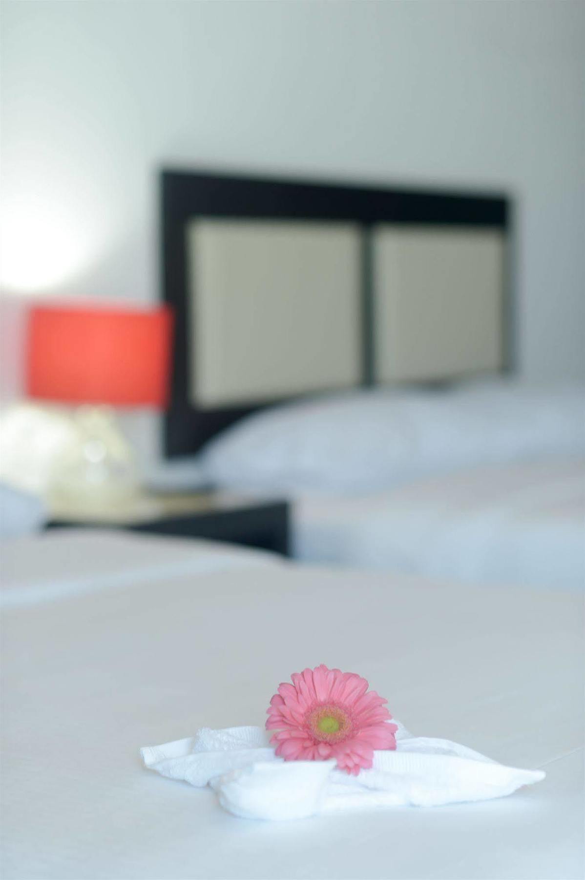 Sunrise 42 Suites Hotel プレヤデルカーメン エクステリア 写真